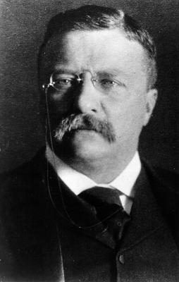 Theodore Roosevelt a remporté le Prix Nobel de la Paix en 1906.