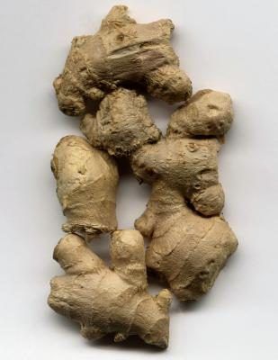 Le rhizome de la plante de gingembre est utilisé pour aromatiser de nombreux aliments, y compris les saucisses.
