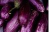 Tous les aubergines ne sont pas violet avec une forme allongée.