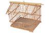Fournir une cage spacieuse pour plusieurs oiseaux.