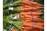 Les carottes contiennent des propriétés prébiotiques et bêta-carotène.