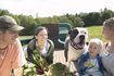 Il ya plusieurs légumes et fruits que les chiens doivent éviter.