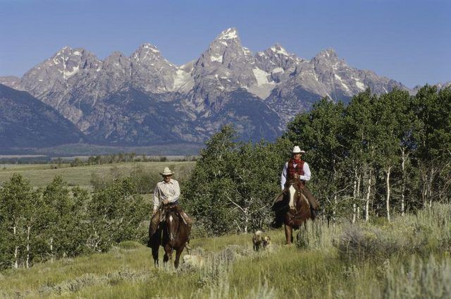 Deux cow-boys à cheval à cheval à travers une vallée verdoyante avec un chien.